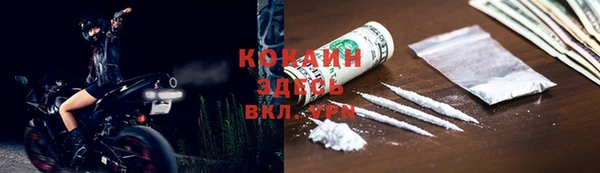 МДПВ Михайлов