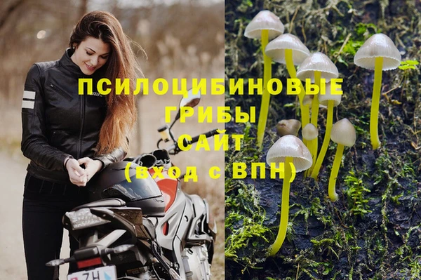 меф Корсаков