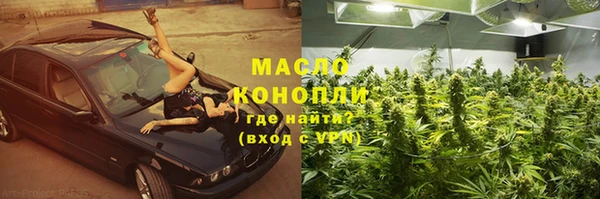 дмт Краснослободск