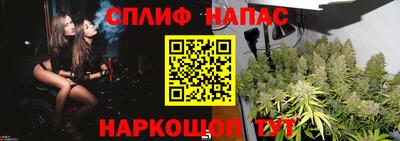 молекула духа Берёзовский