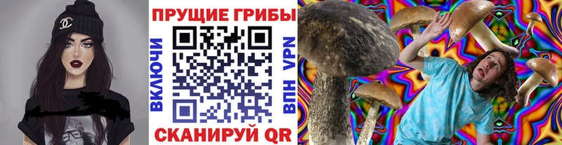 что такое   Чайковский  Галлюциногенные грибы ЛСД 