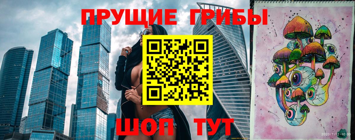 Псилоцибиновые грибы Psilocybe Чайковский