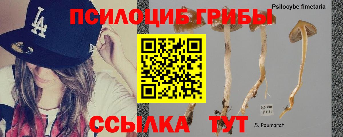 Галлюциногенные грибы ЛСД  Вход с VPN  Чайковский  Псилоцибиновые грибы мицелий 